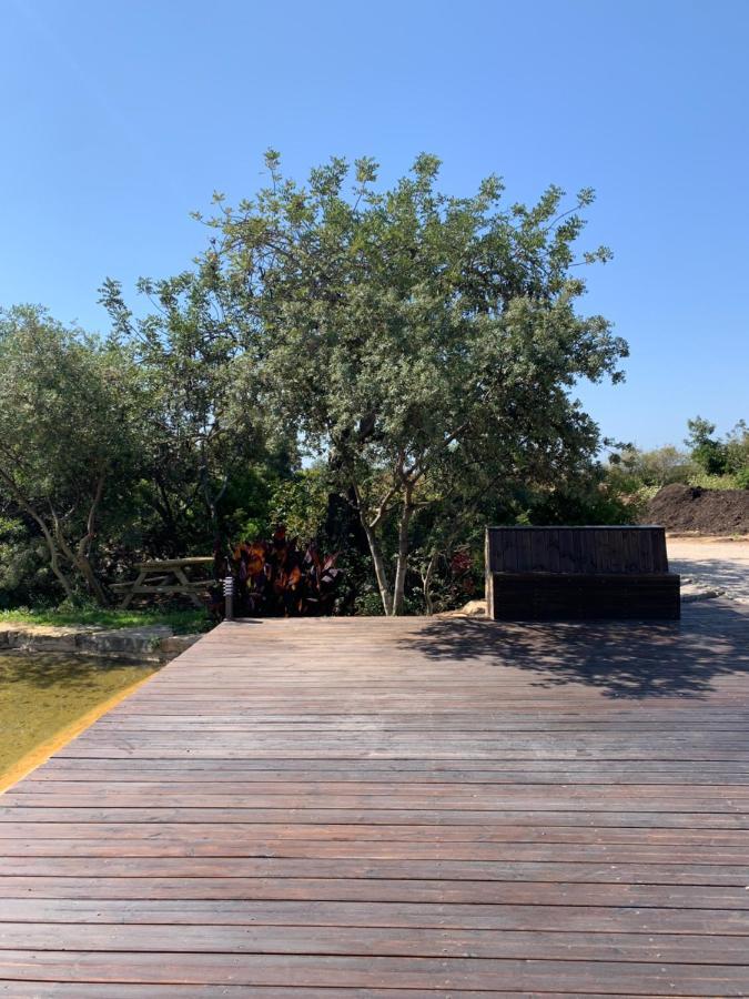 Casa Branca Guest House Tavira Bagian luar foto